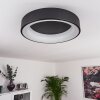 Pine Plafoniera LED Nero, 1-Luce