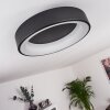 Pine Plafoniera LED Nero, 1-Luce