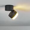 Papagayos Plafoniera da esterno LED Antracite, Bianco, 1-Luce, Cambia colore