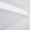 Batamoto Plafoniera LED Bianco, 2-Luci, Telecomando, Cambia colore