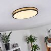 Kirtland Plafoniera LED Oro, Nero, 1-Luce