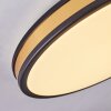 Kirtland Plafoniera LED Oro, Nero, 1-Luce