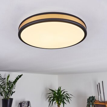 Kirtland Plafoniera LED Oro, Nero, 1-Luce