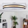 Kirtland Plafoniera LED Oro, Nero, 1-Luce