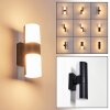 Baulund Applique da esterno LED Nero, 1-Luce