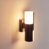 Baulund Applique da esterno LED Nero, 1-Luce