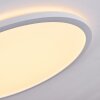 Boyero Plafoniera LED Bianco, 1-Luce