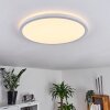 Boyero Plafoniera LED Bianco, 1-Luce