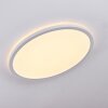 Boyero Plafoniera LED Bianco, 1-Luce