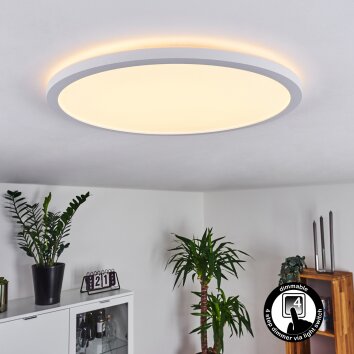 Boyero Plafoniera LED Bianco, 1-Luce