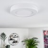 Canditas Plafoniera LED Bianco, 1-Luce