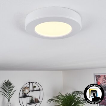 Canditas Plafoniera LED Bianco, 1-Luce