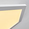 Fanebal Plafoniera LED Bianco, 1-Luce