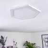 Fanebal Plafoniera LED Bianco, 1-Luce