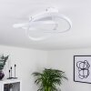 Cochato Plafoniera LED Bianco, 1-Luce