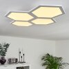 Fanebal Plafoniera LED Bianco, 1-Luce