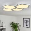 Fanebal Plafoniera LED Bianco, 1-Luce