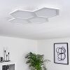 Fanebal Plafoniera LED Bianco, 1-Luce