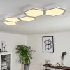 Fanebal Plafoniera LED Bianco, 1-Luce