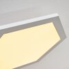 Fanebal Plafoniera LED Bianco, 1-Luce