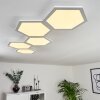 Fanebal Plafoniera LED Bianco, 1-Luce