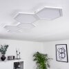 Fanebal Plafoniera LED Bianco, 1-Luce