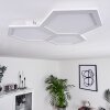 Fanebal Plafoniera LED Bianco, 1-Luce