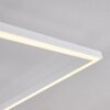 Moya Plafoniera LED Bianco, 1-Luce