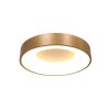 Steinhauer Ringlede Plafoniera Oro, Bianco, 1-Luce Steinhauer Ringlede Plafoniera Oro, Bianco, 1-Luce
