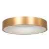 Steinhauer Ringlede Plafoniera Oro, Bianco, 1-Luce