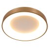 Steinhauer Ringlede Plafoniera Oro, Bianco, 1-Luce