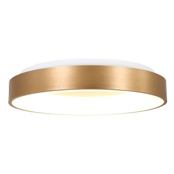 Steinhauer Ringlede Plafoniera Oro, Bianco, 1-Luce