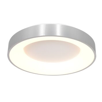 Steinhauer Ringlede Plafoniera Nero, 1-Luce