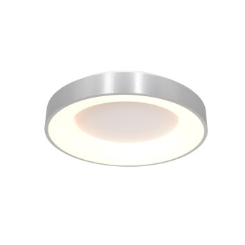 Steinhauer Ringlede Plafoniera Nero, 1-Luce