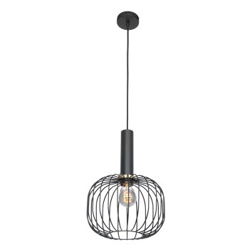 Steinhauer Aureole Lampada a Sospensione Nero, 1-Luce