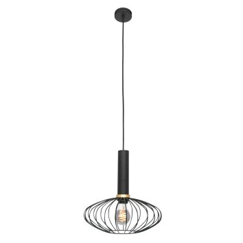 Steinhauer Aureole Lampada a Sospensione Nero, 1-Luce