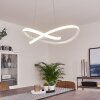 Pitasch Lampadario a sospensione LED Bianco, 1-Luce