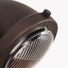 Herford Plafoniera Marrone, Chiaro, 1-Luce