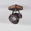 Herford Plafoniera Marrone, Chiaro, 1-Luce