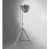 Leuchten-Direkt SAMIA Lampada da terra Grigio, 1-Luce