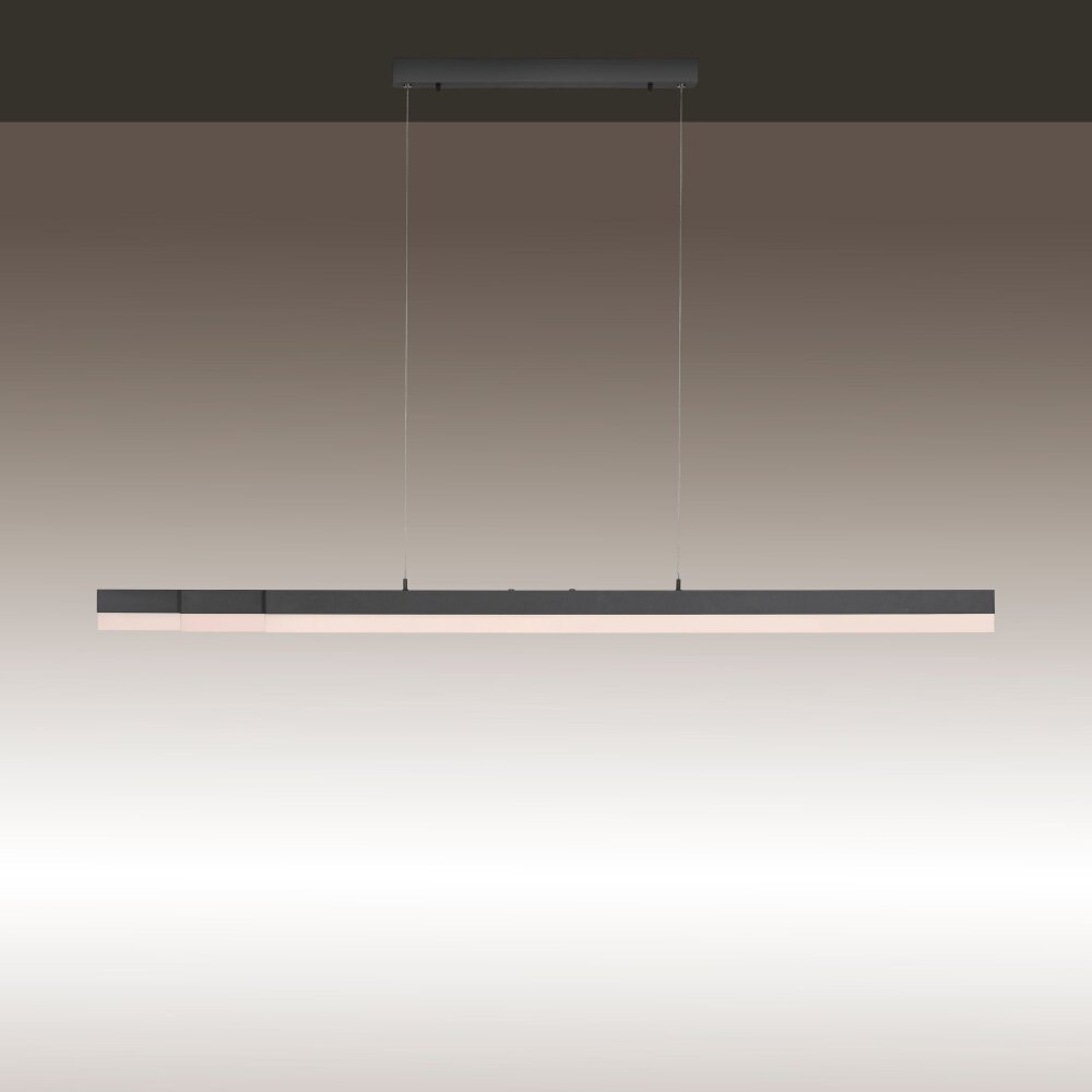 Paul Neuhaus SINA Lampada a Sospensione LED Nero, 3-Luci