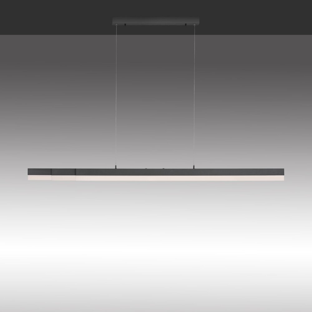 Paul Neuhaus SINA Lampada a Sospensione LED Nero, 3-Luci