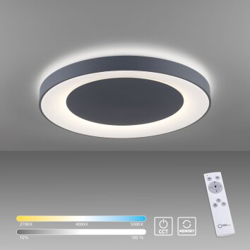 Leuchten Direkt ANIKA Plafoniera LED Antracite, 1-Luce, Telecomando