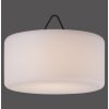 Leuchten Direkt HOLLY Lampada a Sospensione LED Nero, Bianco, 1-Luce, Cambia colore