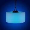 Leuchten Direkt HOLLY Lampada a Sospensione LED Nero, Bianco, 1-Luce, Cambia colore