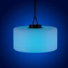 Leuchten Direkt HOLLY Lampada a Sospensione LED Nero, Bianco, 1-Luce, Cambia colore