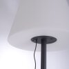 Leuchten Direkt HOLLY Lampada da terra LED Nero, 1-Luce, Cambia colore