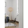 By Rydens Hayden Lampada da terra LED Oro, 1-Luce