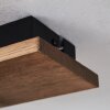 Giresta Plafoniera LED Marrone, Nero, 1-Luce