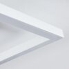 Omega Plafoniera LED Bianco, 1-Luce